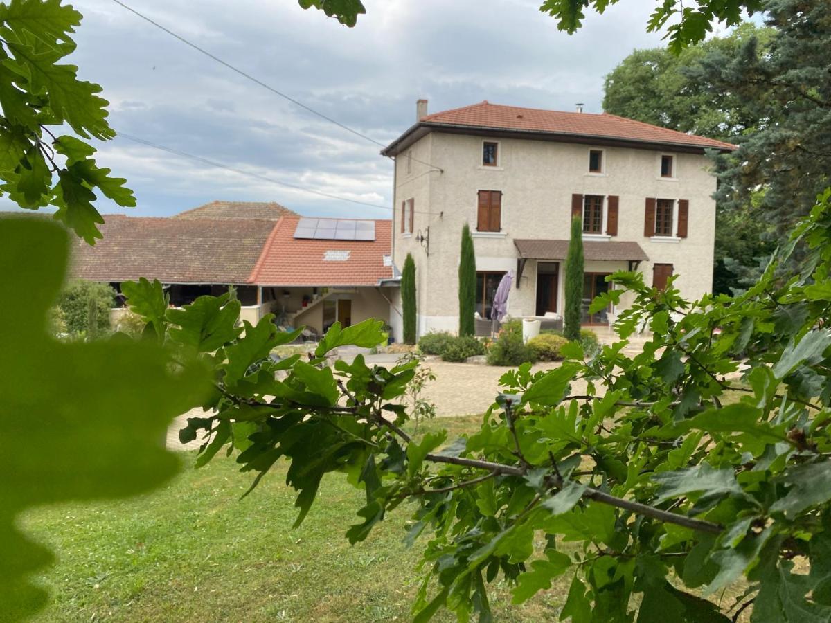 Hotel Les Berouds Salaise-sur-Sanne Exteriér fotografie